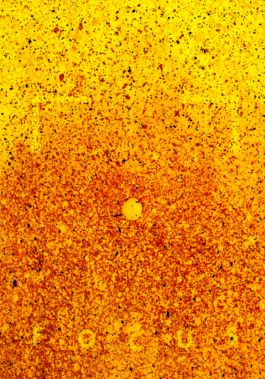 Studio Georg Ostendorff