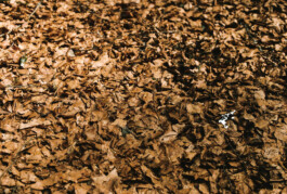 Studio Georg Ostendorff