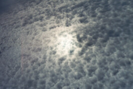 Studio Georg Ostendorff