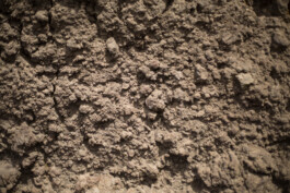 Studio Georg Ostendorff