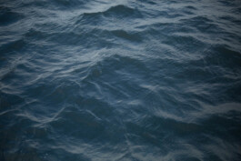 Studio Georg Ostendorff