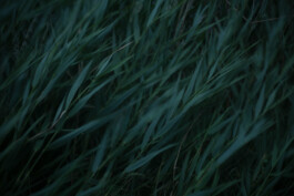 Studio Georg Ostendorff