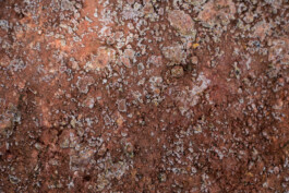 Studio Georg Ostendorff