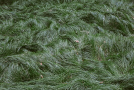 Studio Georg Ostendorff