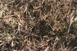 Studio Georg Ostendorff