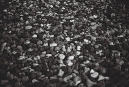 Studio Georg Ostendorff