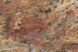 Studio Georg Ostendorff