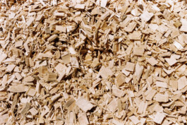 Studio Georg Ostendorff