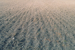 Studio Georg Ostendorff