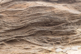 Studio Georg Ostendorff