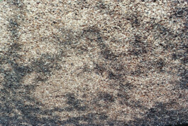 Studio Georg Ostendorff