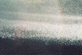 Studio Georg Ostendorff